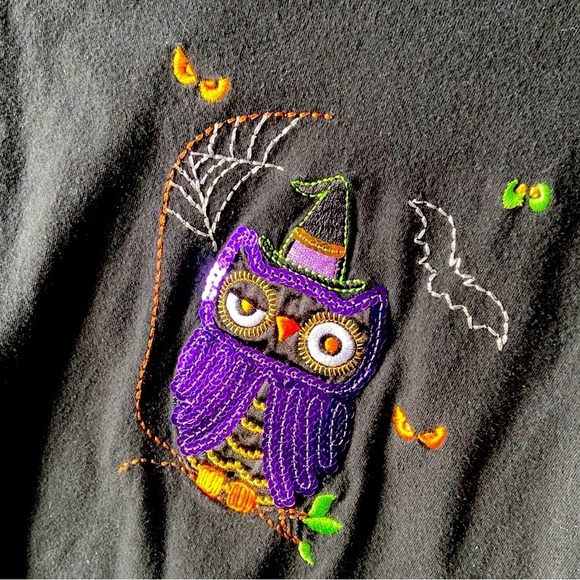LONG Sleeve 🦉Shirt Sz-3XL Super Cute- Oct./Fall/Halloween-Embroidered & Sequins - Picture 6 of 17